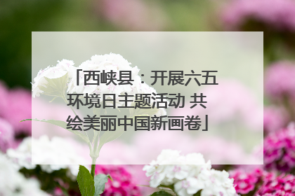 西峡县：开展六五环境日主题活动 共绘美丽中国新画卷