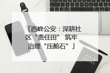 西峰公安：深耕社区“责任田” 筑牢治理“压舱石”