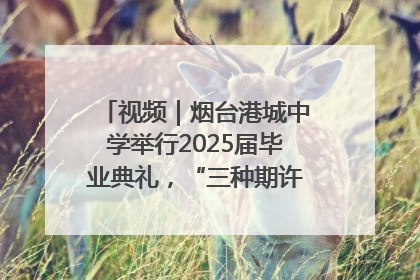 视频｜烟台港城中学举行2025届毕业典礼，“三种期许”照亮青春征途
