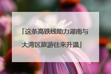 这条高铁线助力湖南与大湾区旅游往来升温