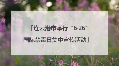 连云港市举行“6·26”国际禁毒日集中宣传活动