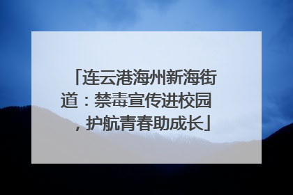 连云港海州新海街道：禁毒宣传进校园，护航青春助成长