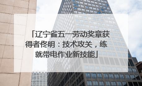 辽宁省五一劳动奖章获得者佟明：技术攻关，练就带电作业新技能