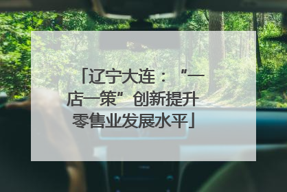 辽宁大连：“一店一策”创新提升零售业发展水平