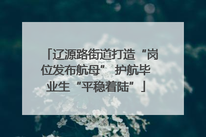 辽源路街道打造“岗位发布航母” 护航毕业生“平稳着陆”