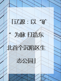 辽源：以“矿”为脉 打造东北首个沉陷区生态公园