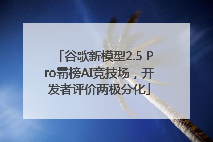谷歌新模型2.5 Pro霸榜AI竞技场，开发者评价两极分化
