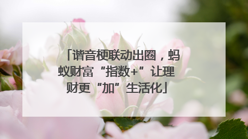 谐音梗联动出圈，蚂蚁财富“指数+”让理财更“加”生活化