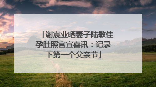 谢震业晒妻子陆敏佳孕肚照官宣喜讯：记录下第一个父亲节