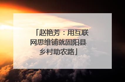 赵艳芳：用互联网思维铺就固阳县乡村助农路