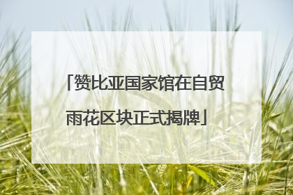 赞比亚国家馆在自贸雨花区块正式揭牌