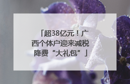 超38亿元！广西个体户迎来减税降费“大礼包”