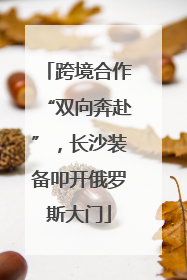 跨境合作“双向奔赴”，长沙装备叩开俄罗斯大门