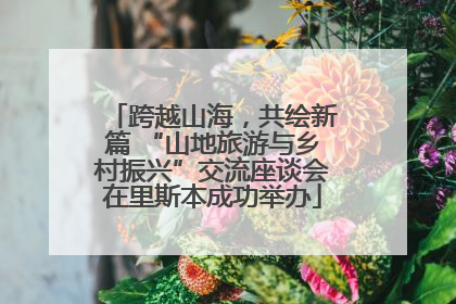 跨越山海，共绘新篇 “山地旅游与乡村振兴”交流座谈会在里斯本成功举办