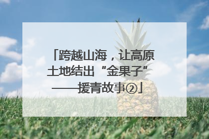 跨越山海，让高原土地结出“金果子”——援青故事②