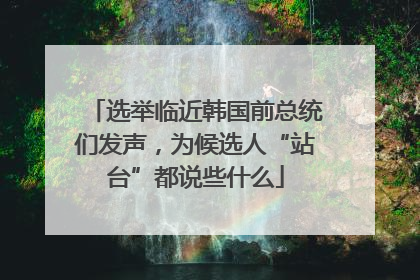 选举临近韩国前总统们发声，为候选人“站台”都说些什么