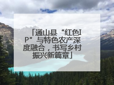 通山县“红色IP”与特色农产深度融合，书写乡村振兴新篇章