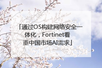 通过OS构建网络安全一体化，Fortinet看重中国市场AI需求