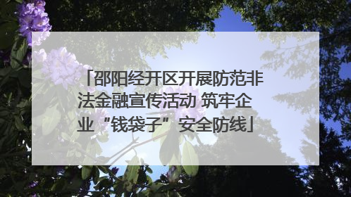 邵阳经开区开展防范非法金融宣传活动 筑牢企业“钱袋子”安全防线