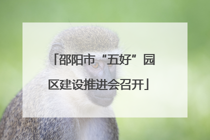 邵阳市“五好”园区建设推进会召开