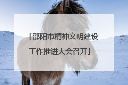 邵阳市精神文明建设工作推进大会召开