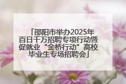 邵阳市举办2025年百日千万招聘专项行动暨促就业“金桥行动”高校毕业生专场招聘会