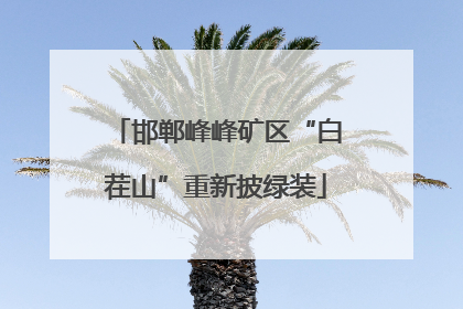邯郸峰峰矿区“白茬山”重新披绿装
