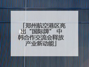 郑州航空港区亮出“国际牌” 中韩合作交流会释放产业新动能