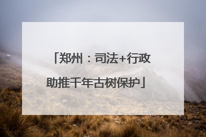 郑州：司法+行政助推千年古树保护