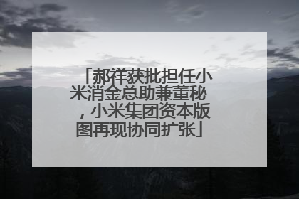 郝祥获批担任小米消金总助兼董秘，小米集团资本版图再现协同扩张