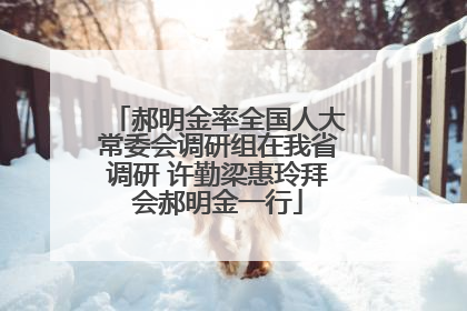 郝明金率全国人大常委会调研组在我省调研 许勤梁惠玲拜会郝明金一行