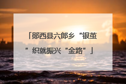 郧西县六郎乡“银茧”织就振兴“金路”