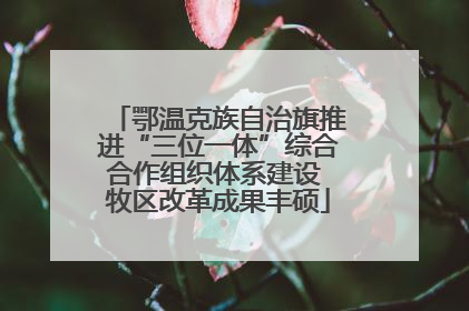 鄂温克族自治旗推进“三位一体”综合合作组织体系建设 牧区改革成果丰硕