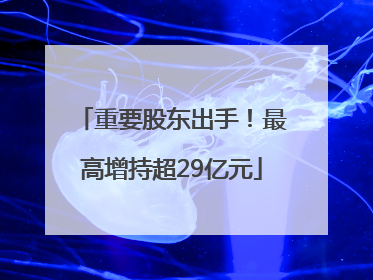 重要股东出手!最高增持超29亿元