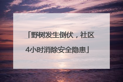 野树发生倒伏，社区4小时消除安全隐患