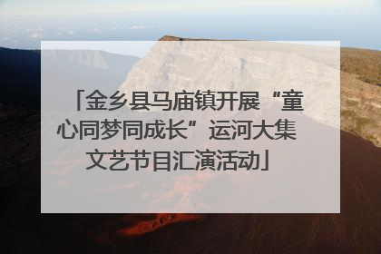 金乡县马庙镇开展“童心同梦同成长”运河大集文艺节目汇演活动