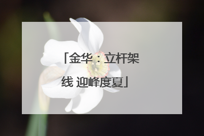 金华：立杆架线 迎峰度夏
