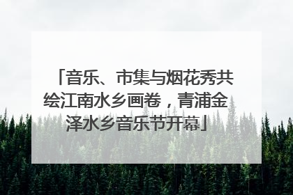 音乐、市集与烟花秀共绘江南水乡画卷，青浦金泽水乡音乐节开幕