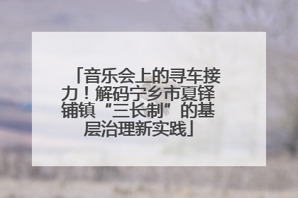 音乐会上的寻车接力！解码宁乡市夏铎铺镇“三长制”的基层治理新实践