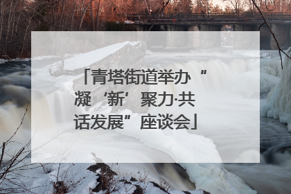 青塔街道举办“凝‘新’聚力·共话发展”座谈会