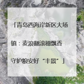 青岛西海岸新区大场镇：麦浪翻滚穗飘香 守护粮安好“丰景”