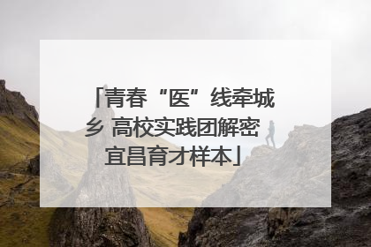 青春“医”线牵城乡 高校实践团解密宜昌育才样本