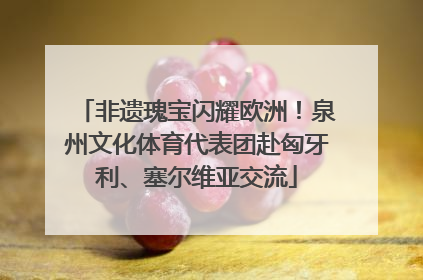 非遗瑰宝闪耀欧洲！泉州文化体育代表团赴匈牙利、塞尔维亚交流