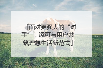 面对更强大的“对手”，添可与用户共筑理想生活新范式