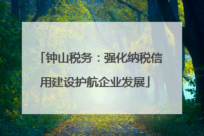 钟山税务：强化纳税信用建设护航企业发展