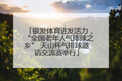 银发体育迸发活力，“全国老年人气排球之乡” 天山杯气排球邀请交流赛举行