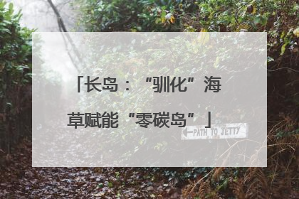 长岛：“驯化”海草赋能“零碳岛”