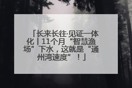 长来长往·见证一体化丨11个月“智慧渔场”下水，这就是“通州湾速度”！