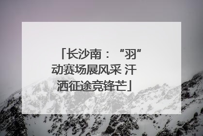 长沙南：“羽”动赛场展风采 汗洒征途竞锋芒