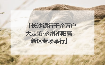 长沙银行千企万户大走访·永州祁阳高新区专场举行